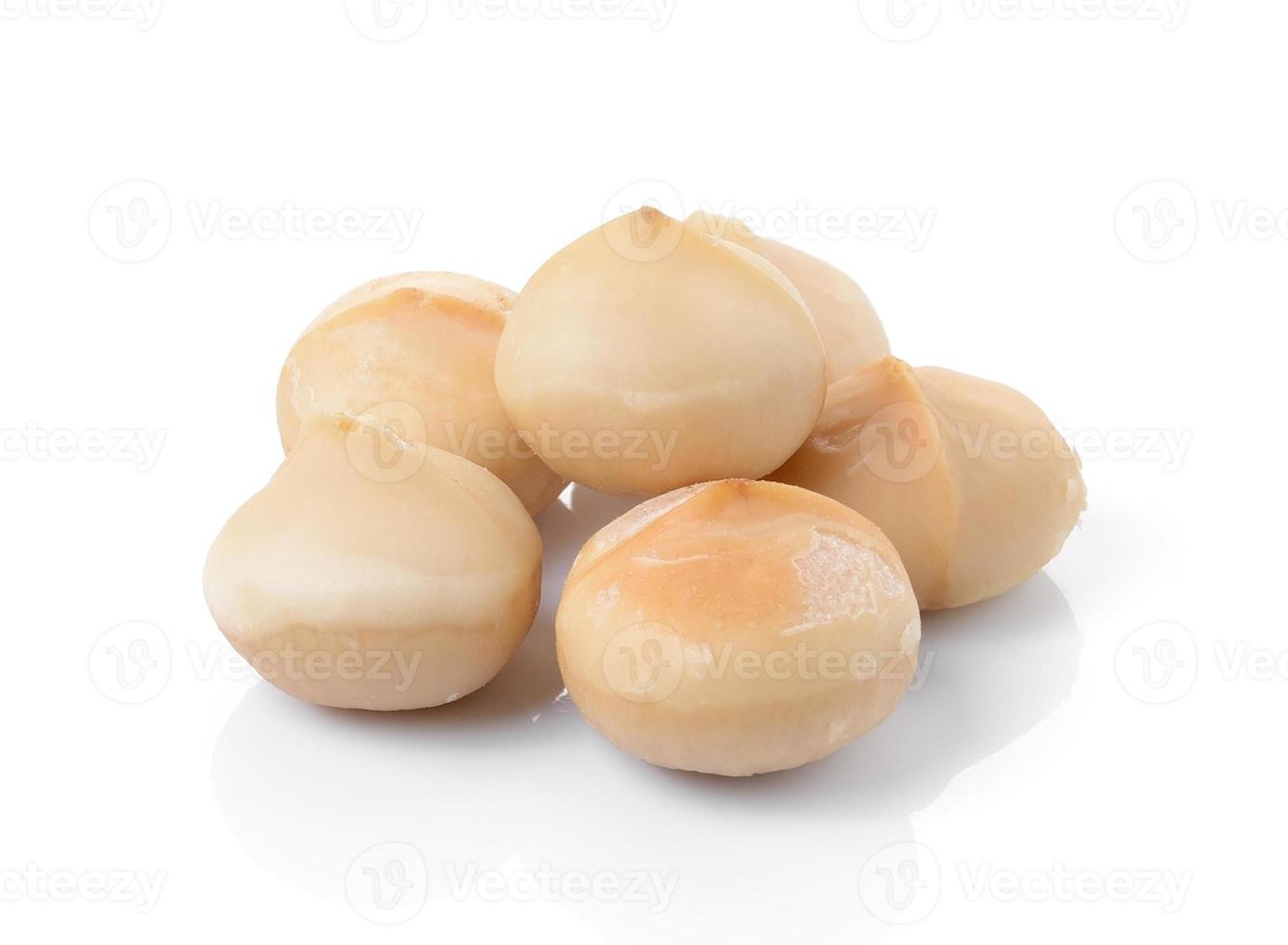 macadamia nuts on white background photo