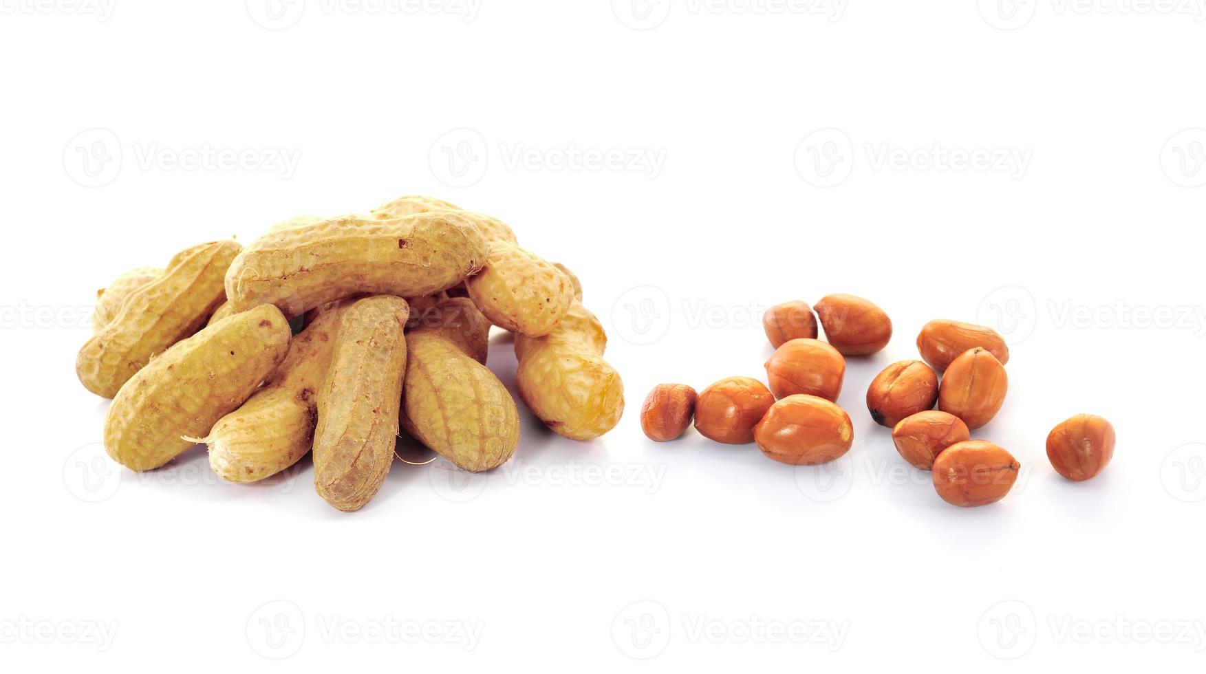 Peanut isolated on white background photo