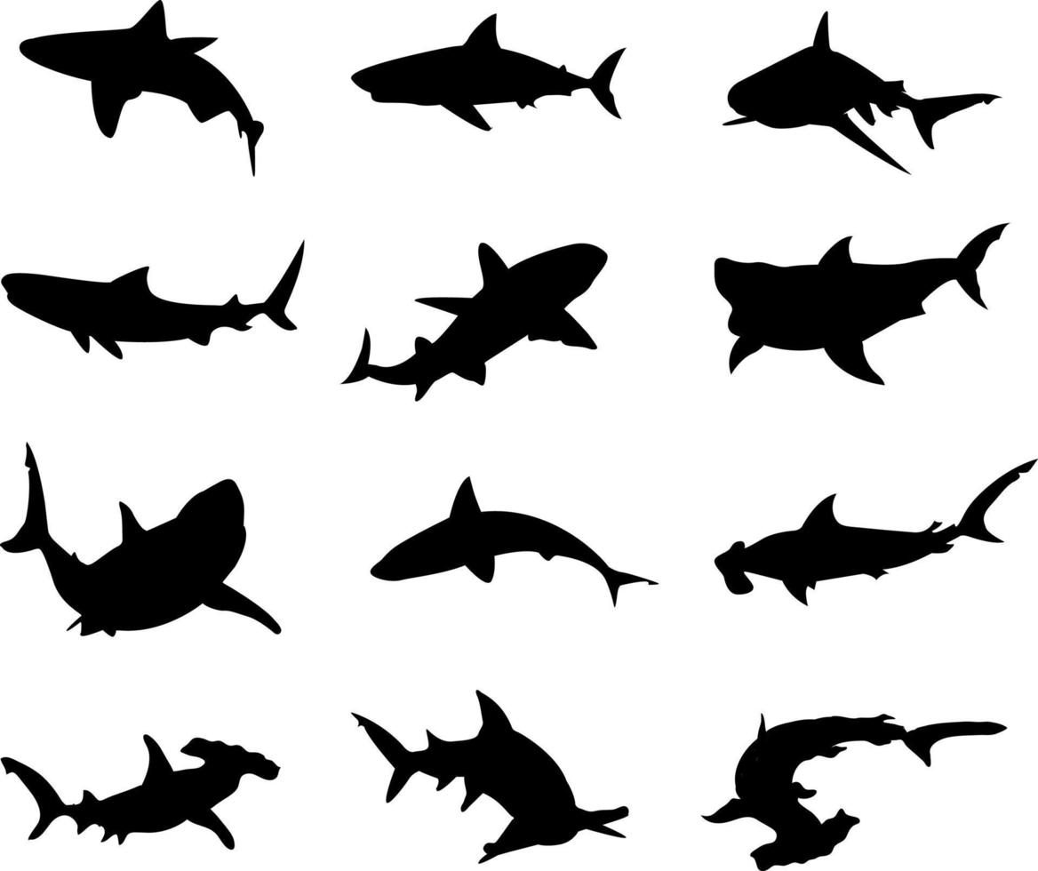 colección de silueta vectorial de tiburones para logotipos y composiciones de arte vector