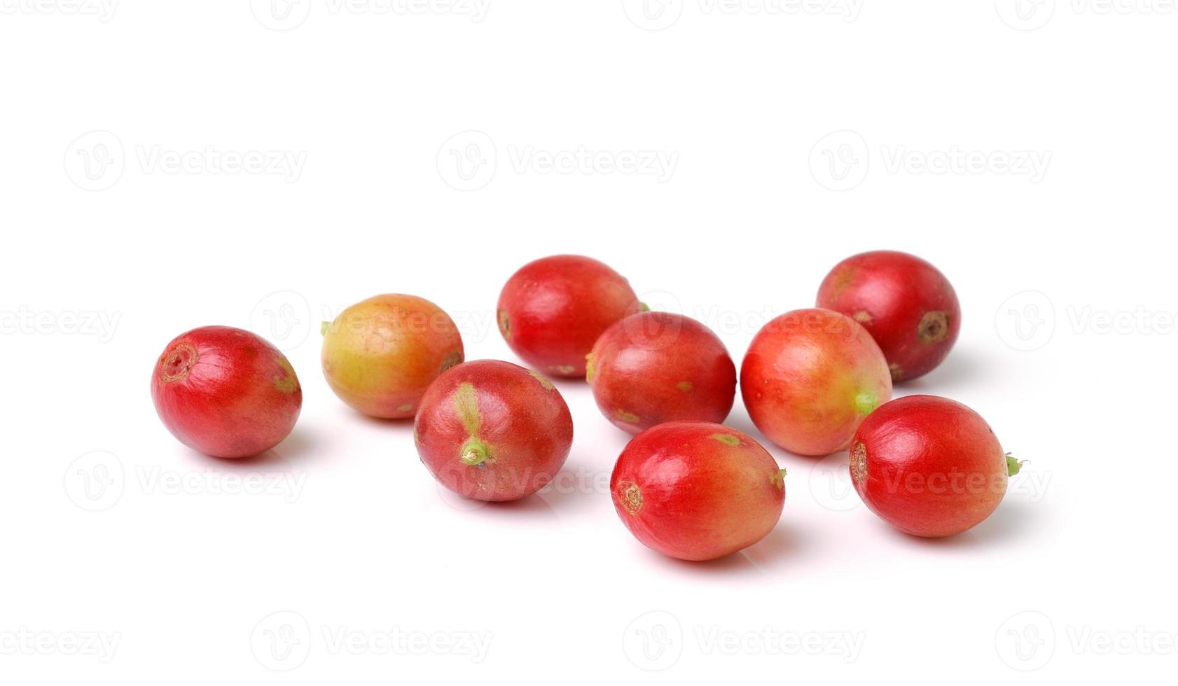 red coffee beans isolated on white background photo