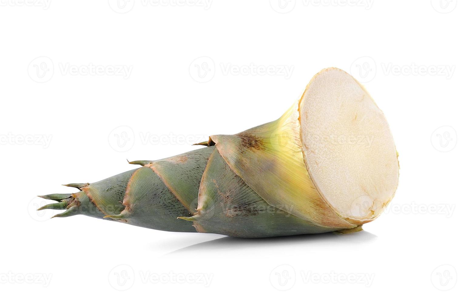 bamboo shoot isolated on white background photo