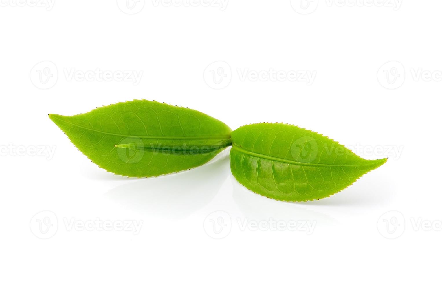 hoja de té aislada sobre fondo blanco foto