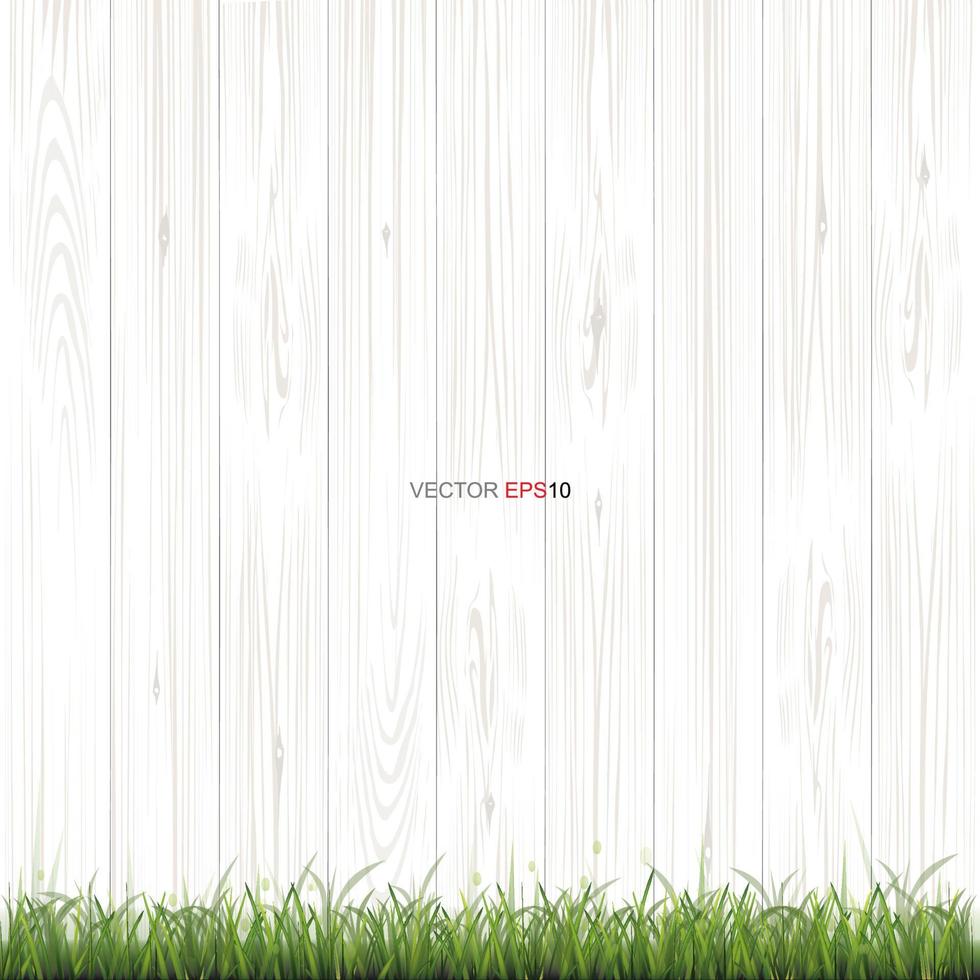 White wood texture background with green grass. Vector. vector
