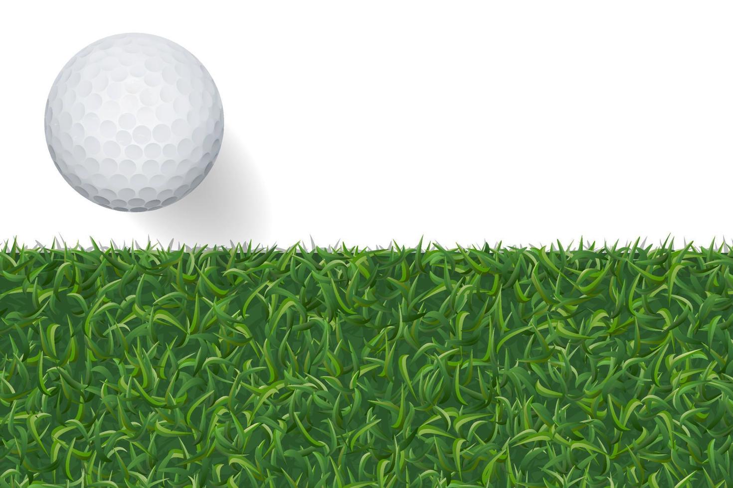 Golf ball and green grass background with area for copy space. Vector. vector