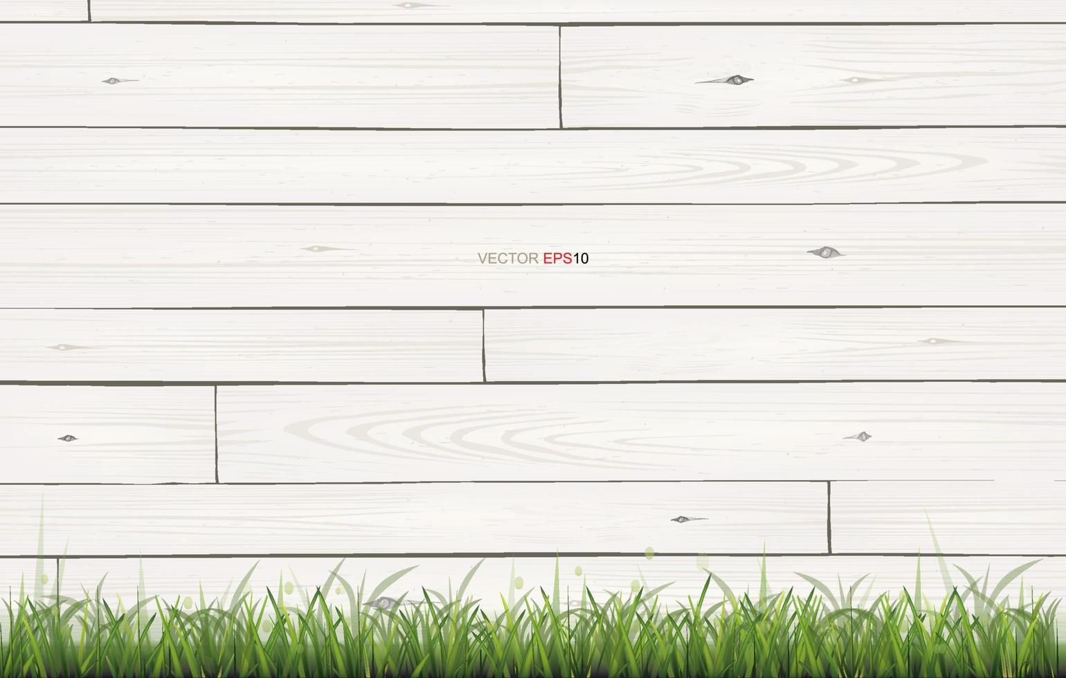 White wood texture background with green grass. Vector. vector