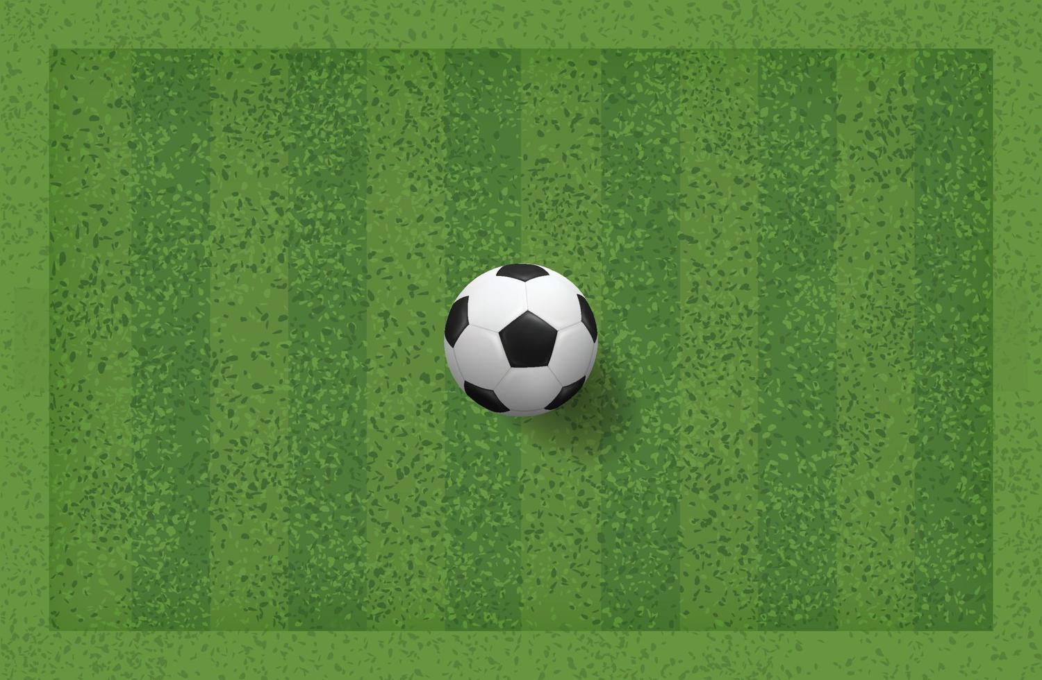 Soccer football ball in green grass field. Vector. vector