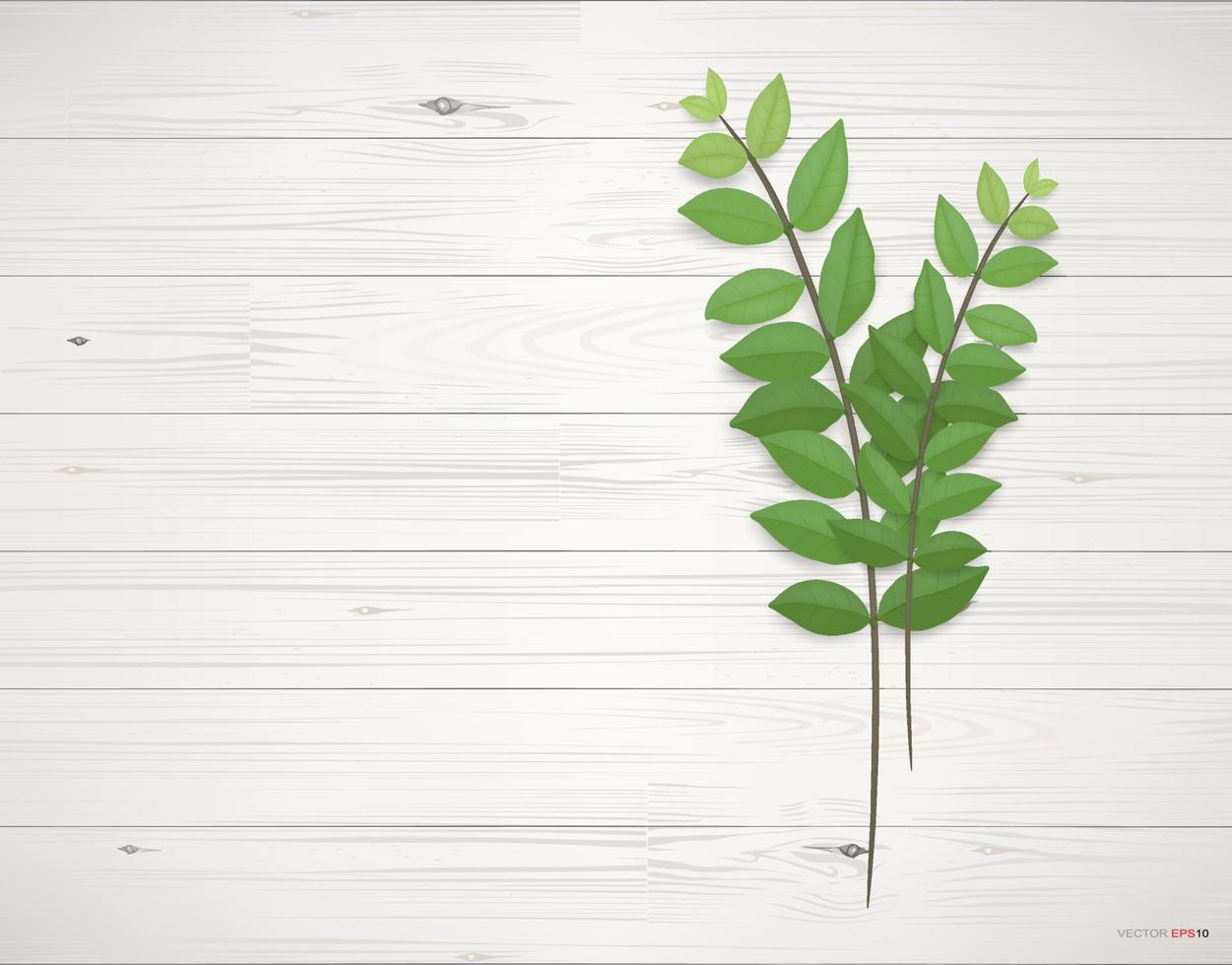 Wood texture background with green leaves.  Vector illustration.