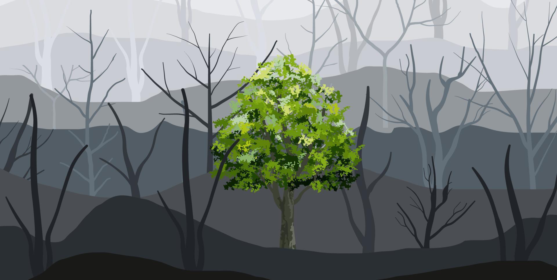 Fondo de árbol verde y niebla forestal. vector. vector