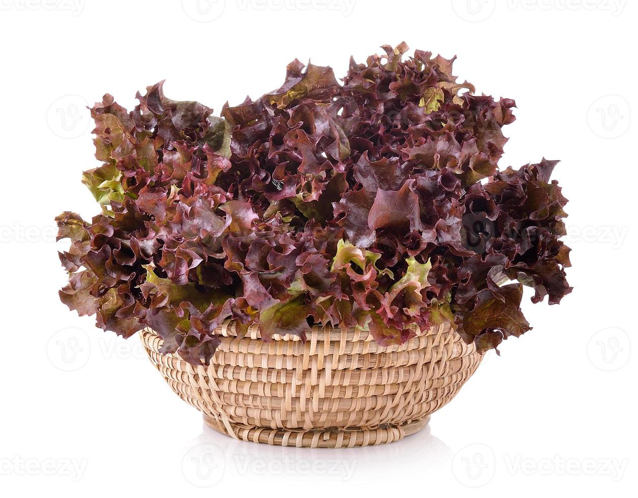 Fresh red lettuce in the basket isolated on a white background photo