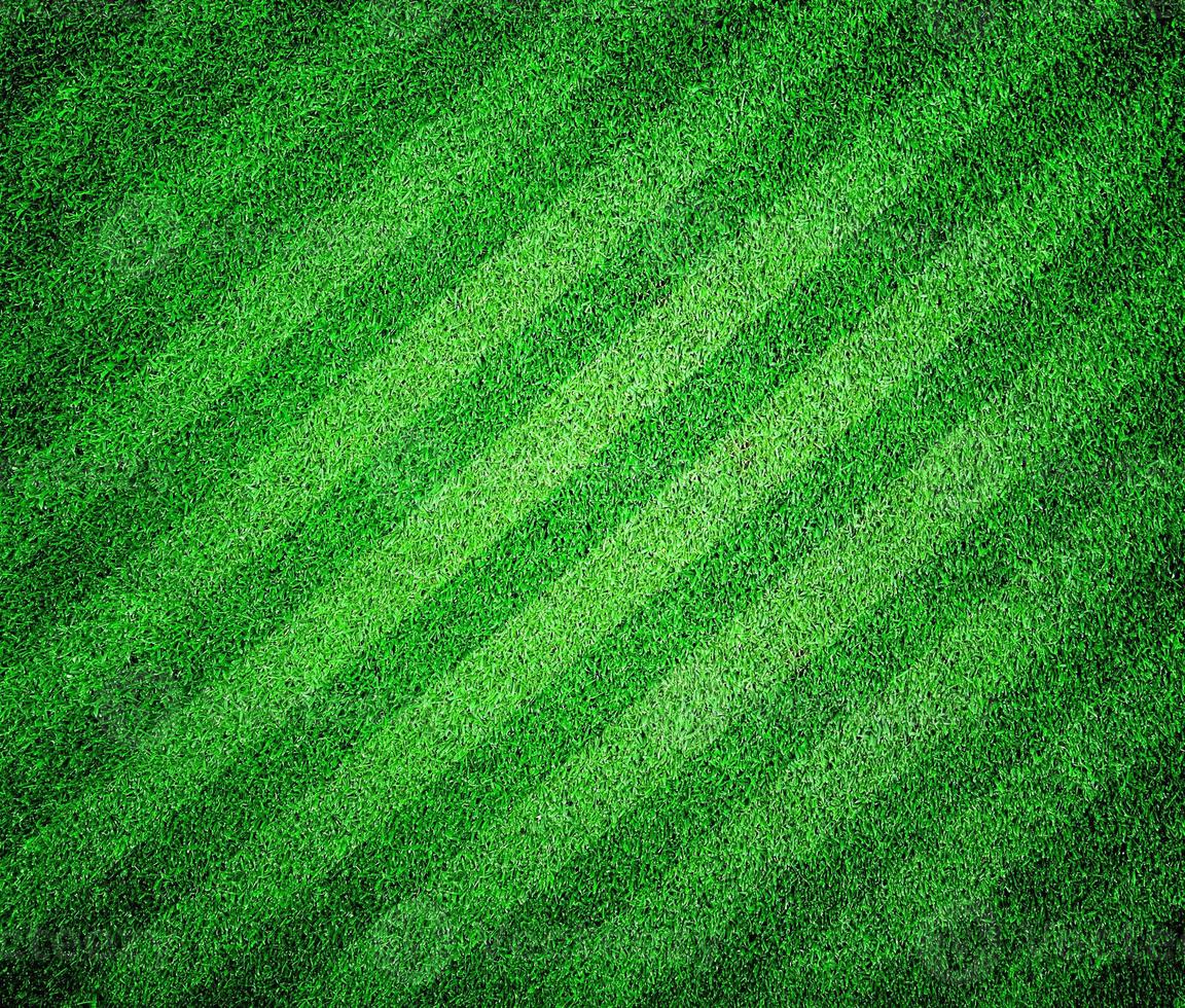 green grass lined football or soccer field photo