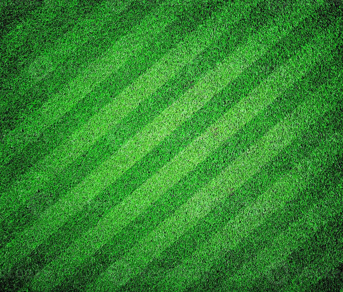 green grass lined football or soccer field photo