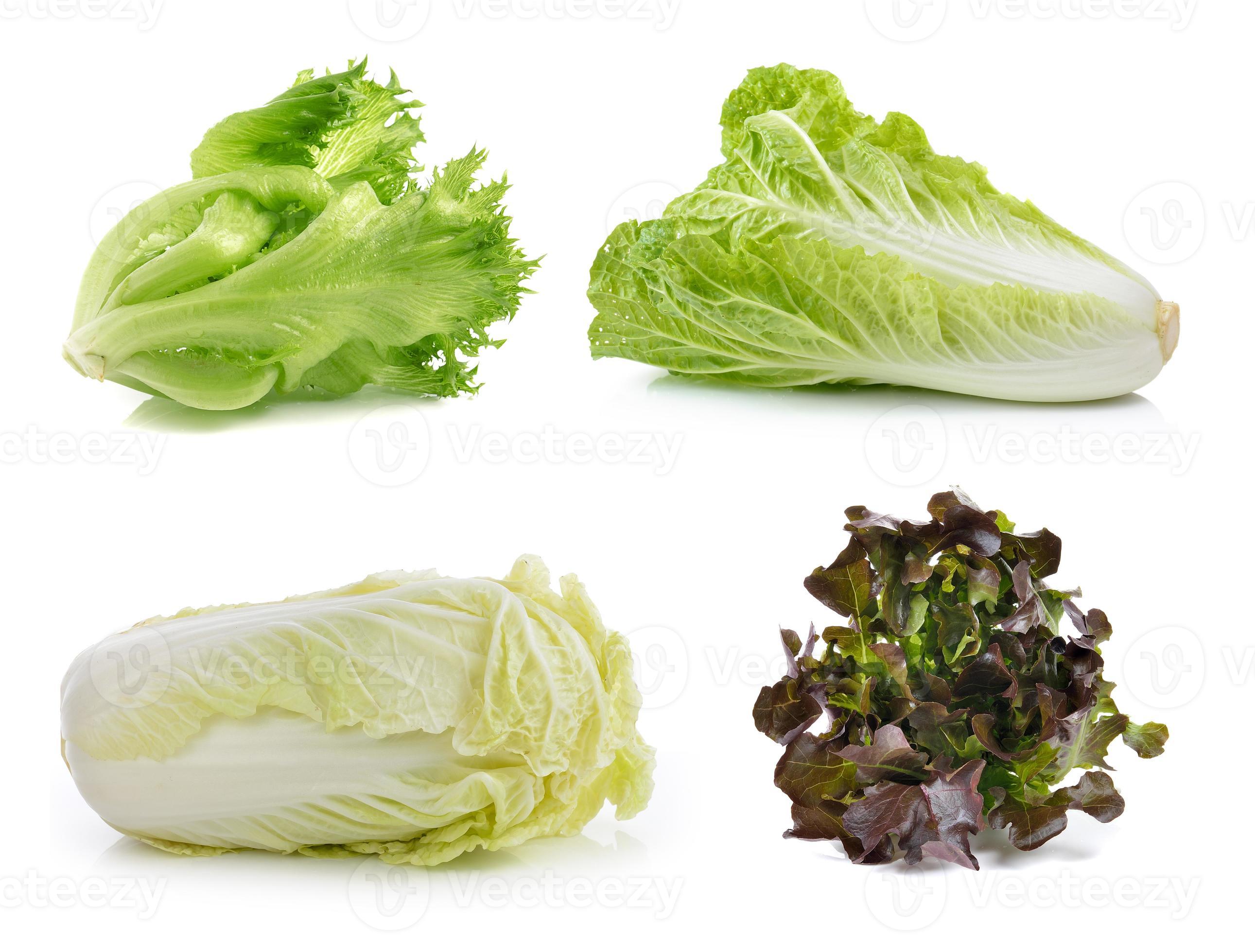 lechuga, col china sobre un fondo blanco 4162052 Foto de stock en Vecteezy