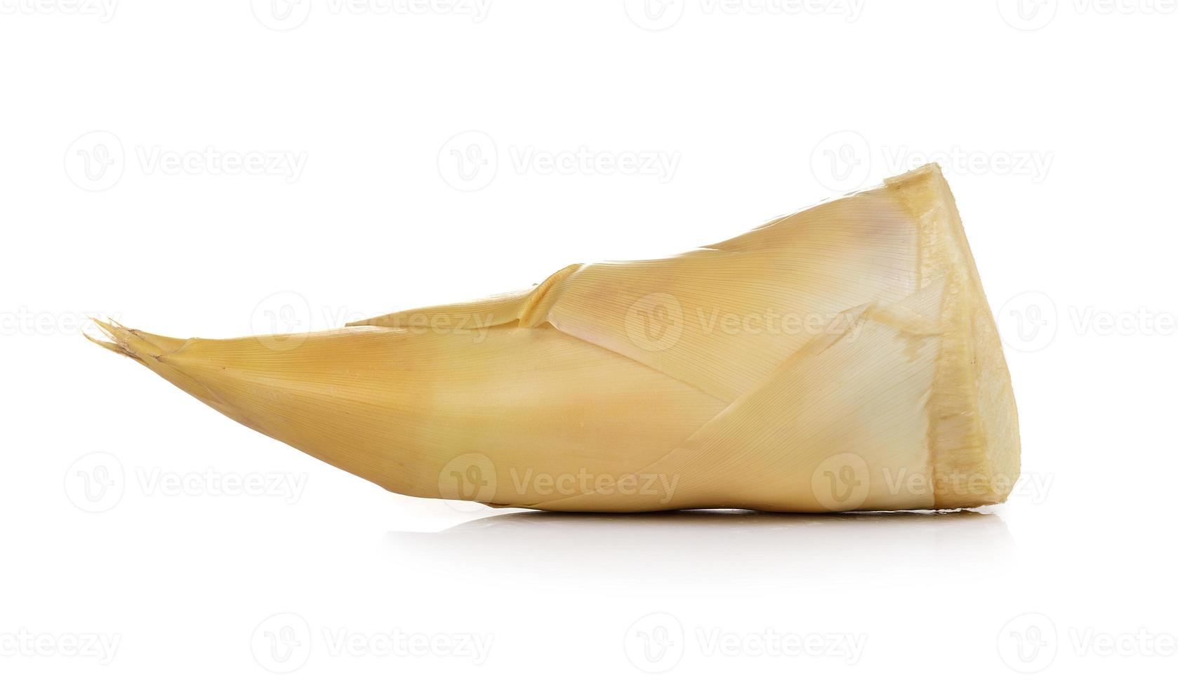 Bamboo shoots on white background photo
