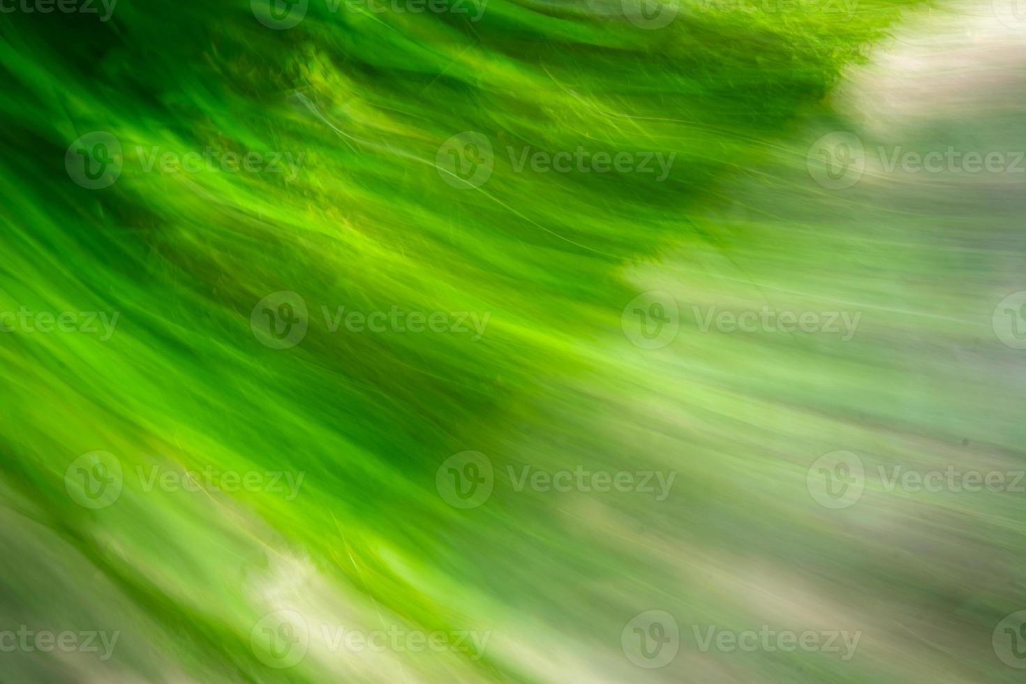 Background and abstract gradient green colors in different shades photo