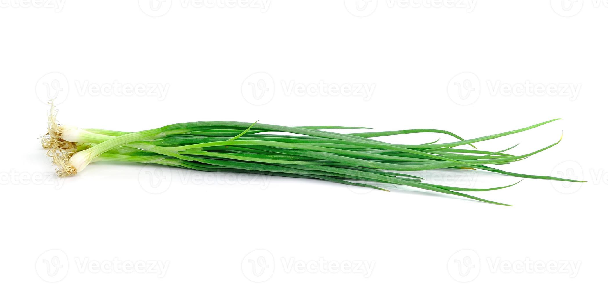 beautiful spring onions on a white background. photo