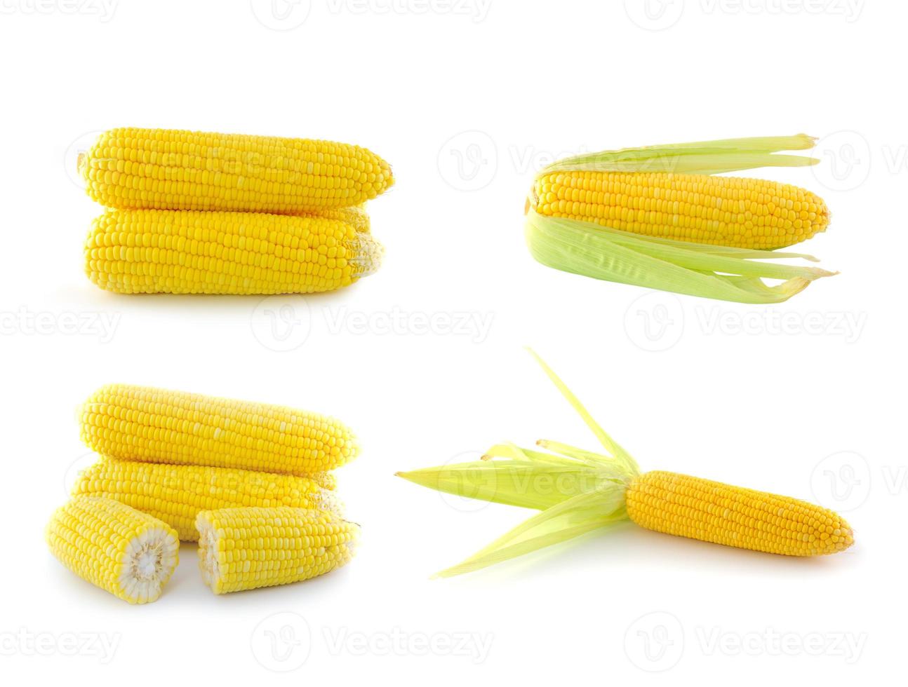 corn on a white background photo