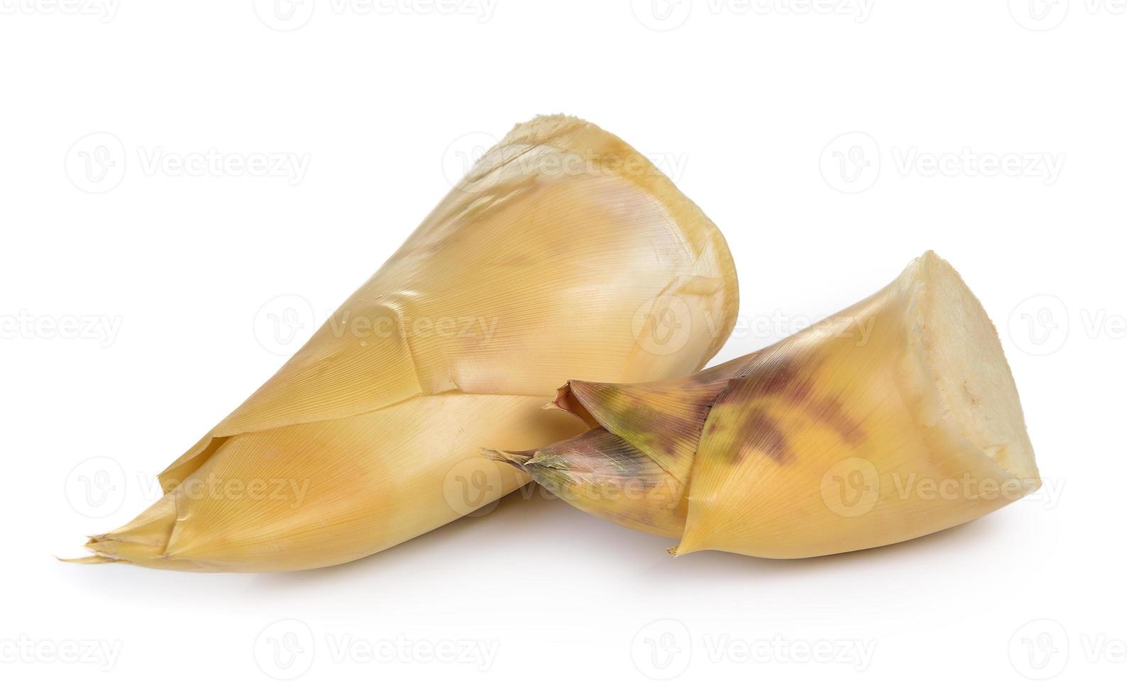 Bamboo shoots on white background photo