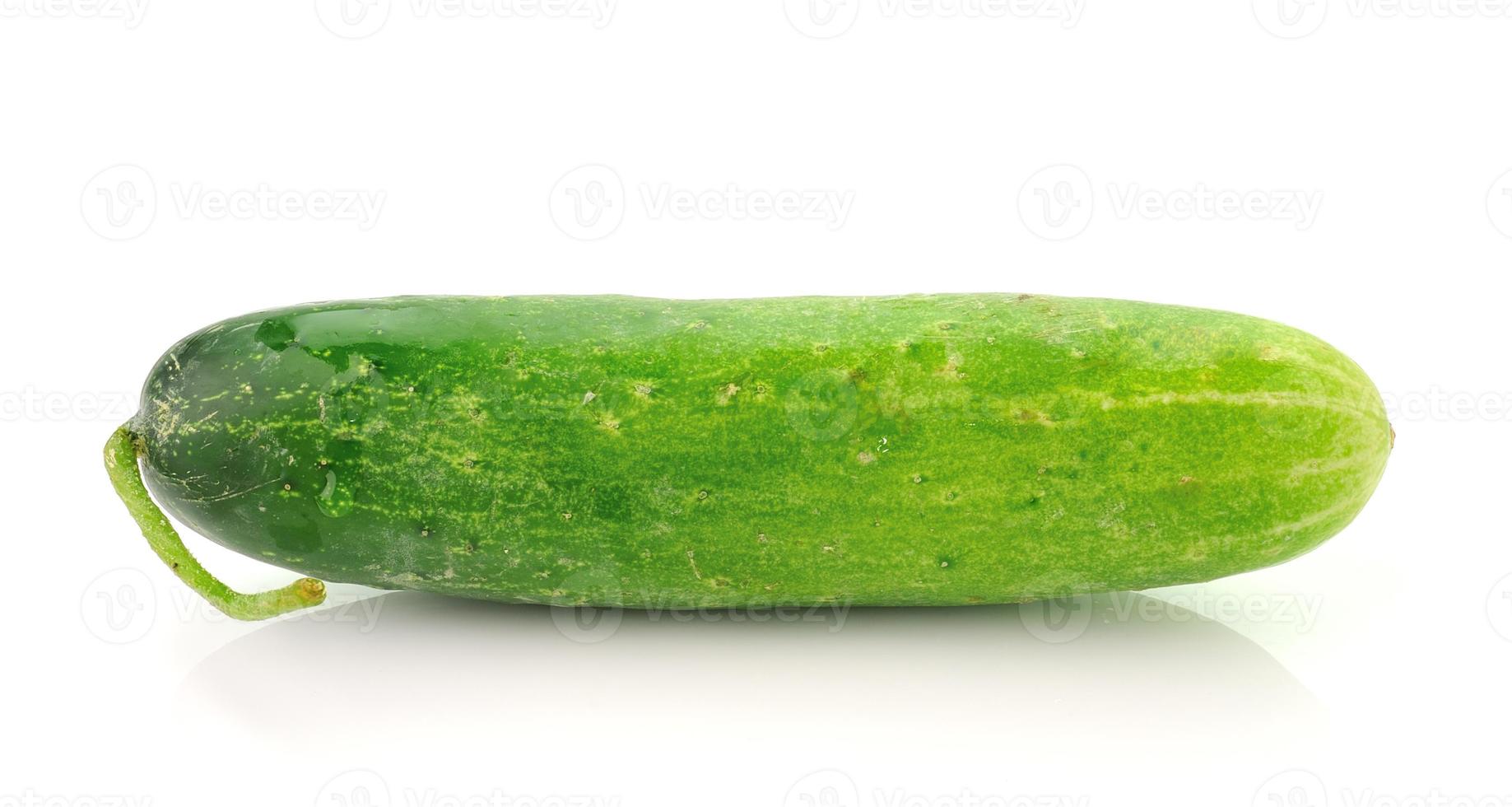 Fresh cucumber slice isolated on white background photo