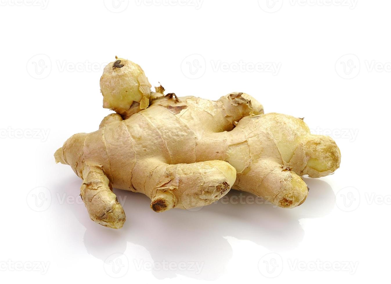 Root ginger isolated on a white studio background. photo