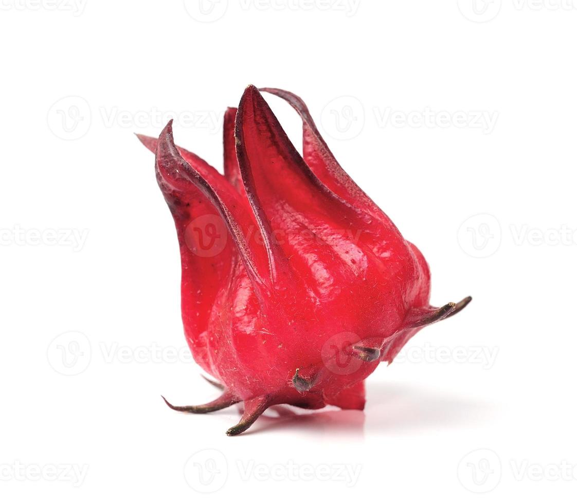 Hibiscus sabdariffa or roselle fruits photo