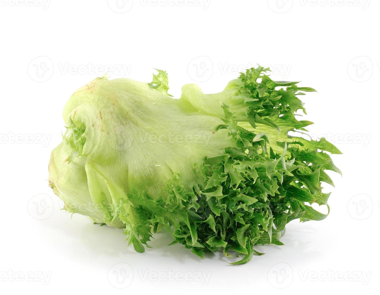 lettuce on white background photo