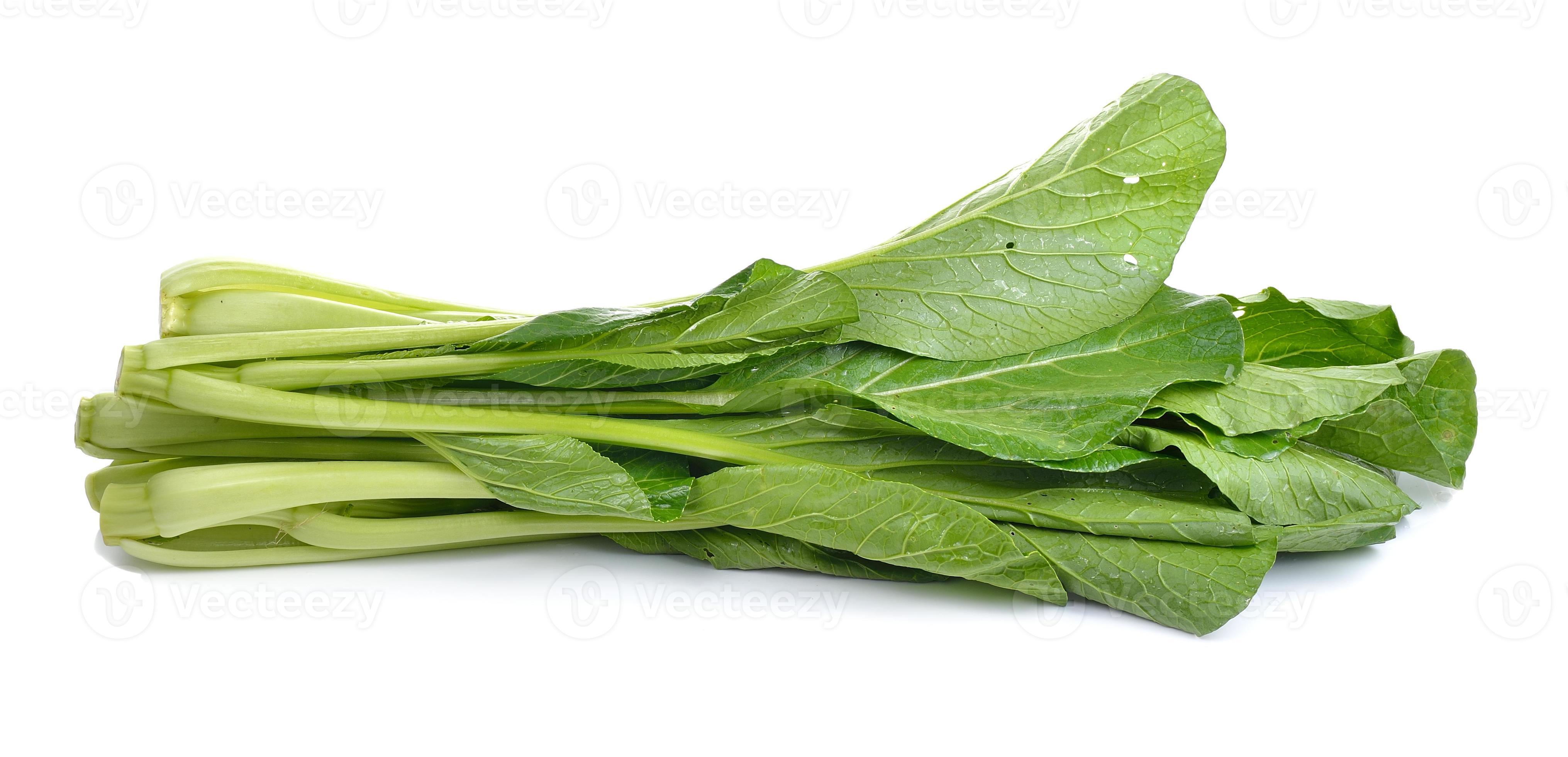 Chinese Flowering cabbage on white background 4176627 Stock Photo at