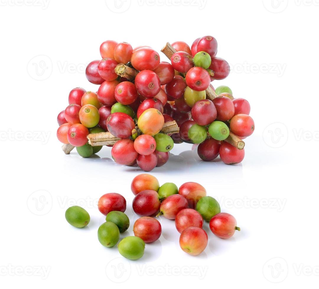 ripe coffee beans on white background photo