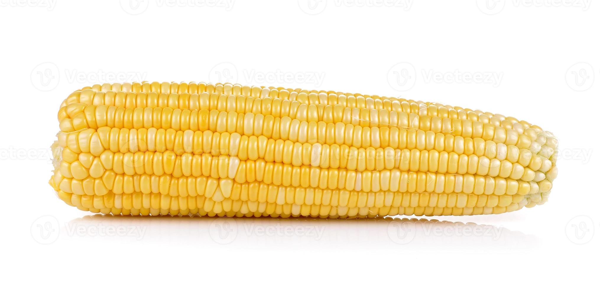 fresh corn on white background photo