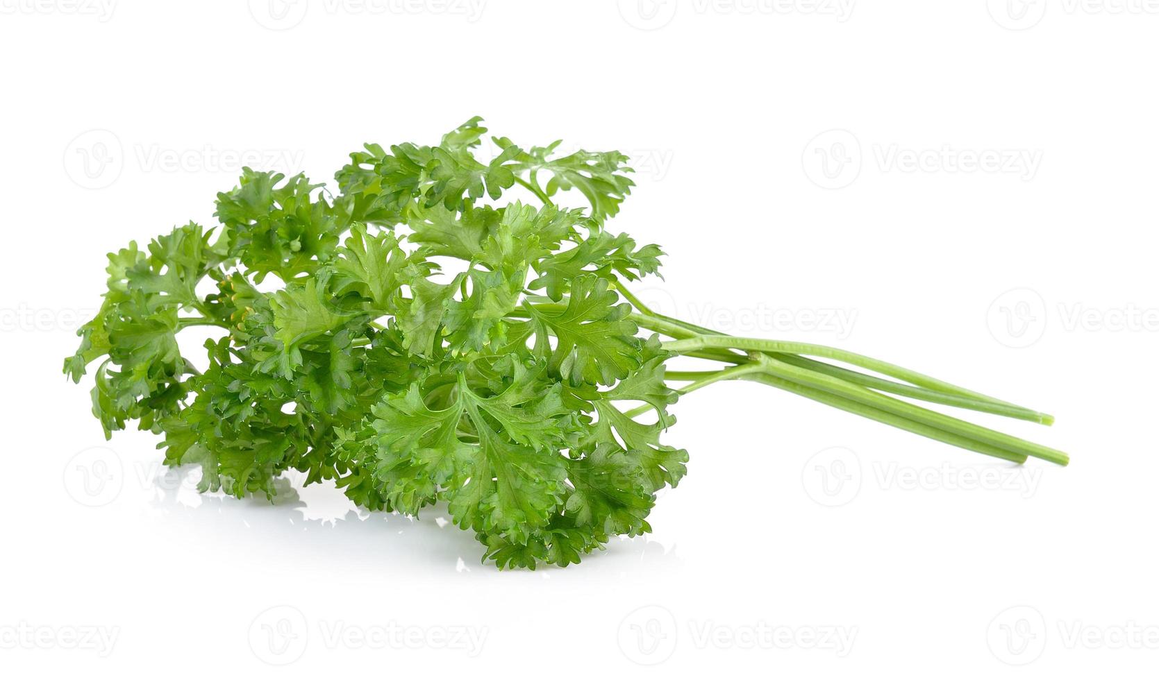 parsley isolated on a white background photo