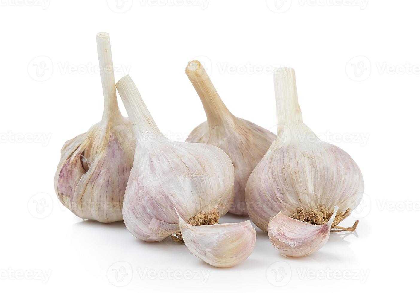 garlic on white background photo