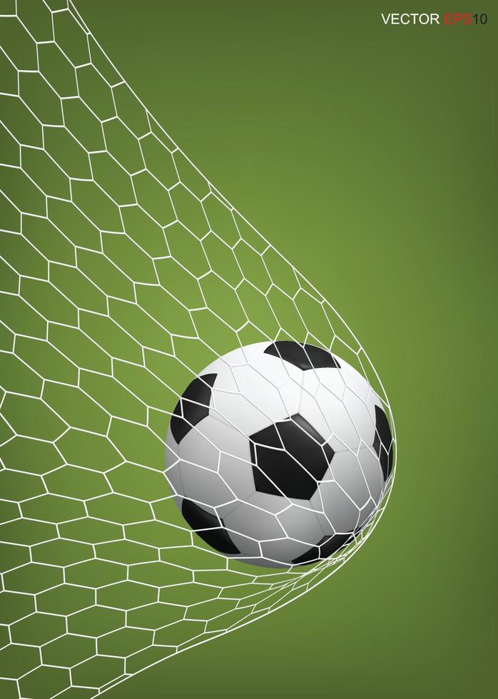 Soccer football ball in soccer goal. Vector. vector