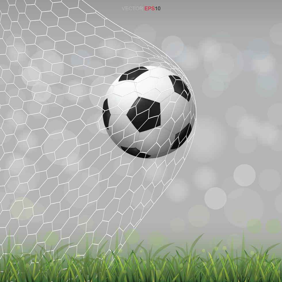 Soccer football ball on green grass field with light blurred bokeh background. Vector. vector