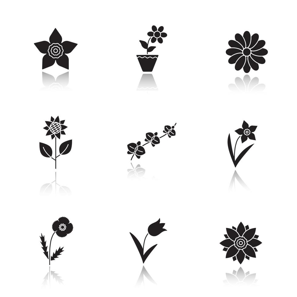 Flowers drop shadow black glyph icons set. Lotus, crocus, chamomile, sunflower, daffodils, orchid branch, tulip, poppy. Isolated vector illustrations