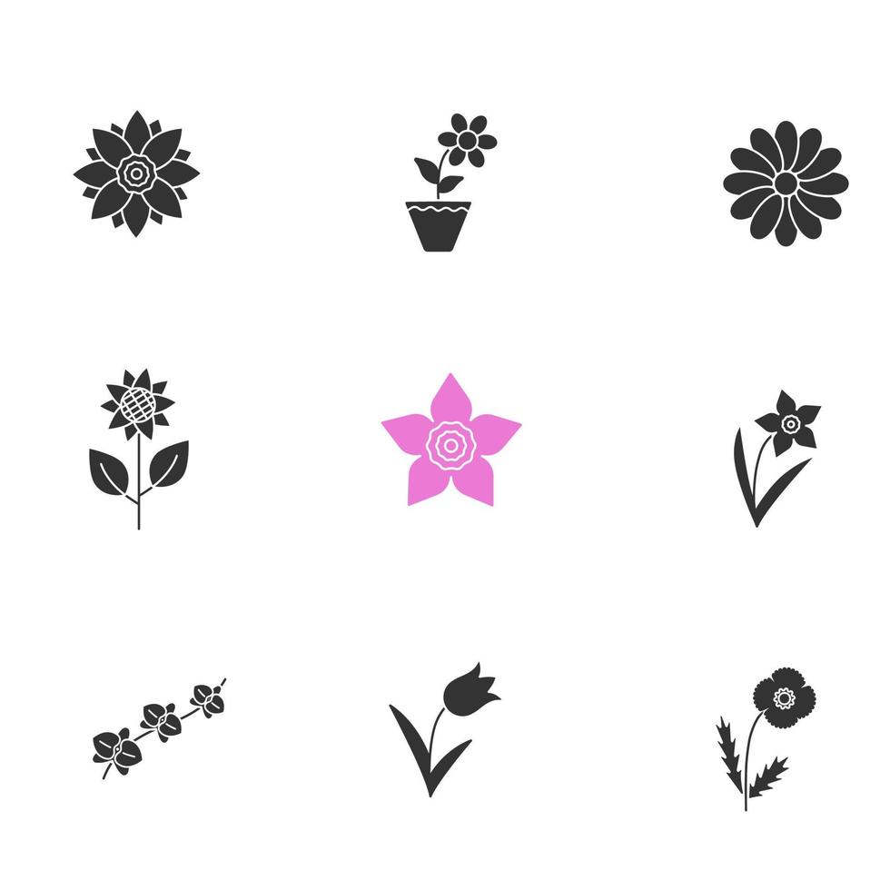 Flowers glyph icons set. Silhouette symbols. Lotus, crocus, chamomile, sunflower, daffodils, orchid branch, tulip, poppy. Vector isolated illustration