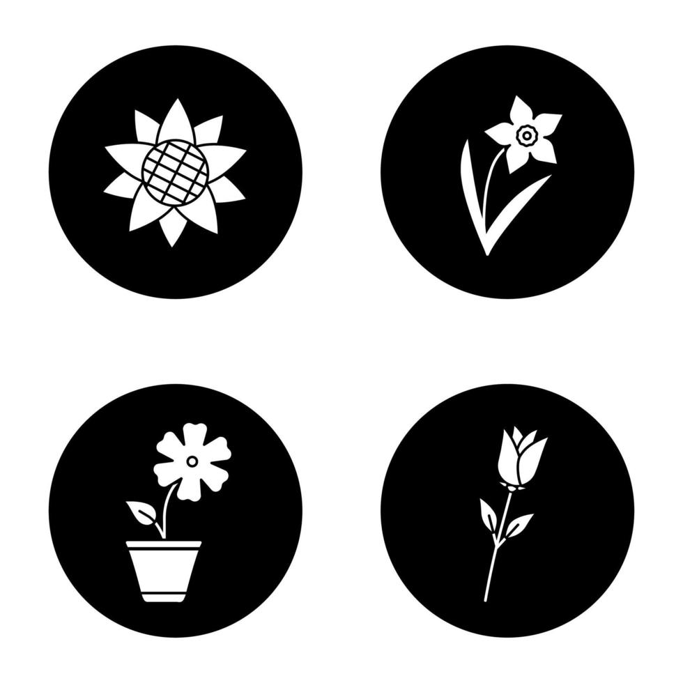 Flowers glyph icons set. Sunflower head, narcissus, hibiscus, rose. Vector white silhouettes illustrations in black circles