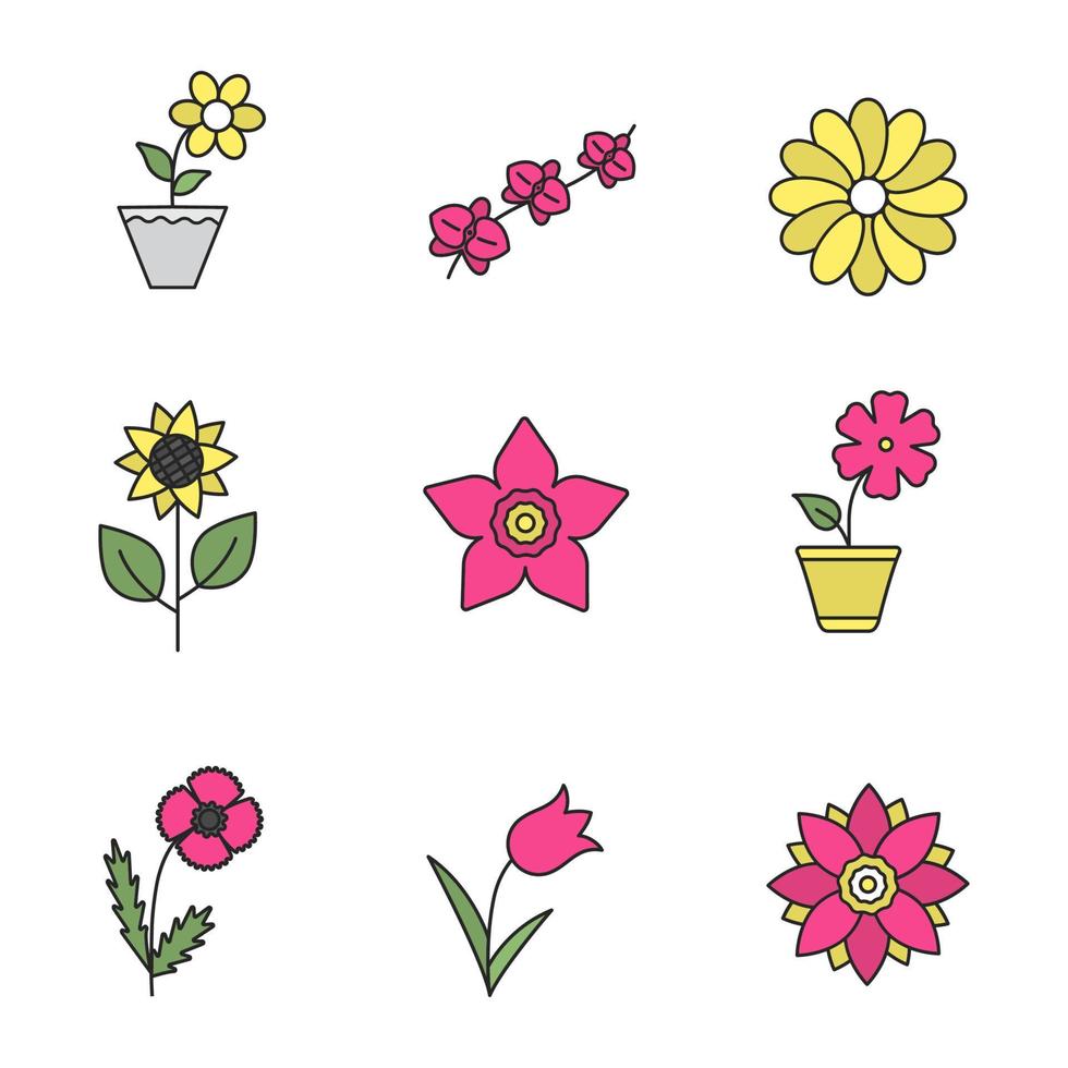 Flowers color icons set. Lotus, crocus, chamomile, sunflower, daffodil, hibiscus, orchid branch, tulip, poppy. Isolated vector illustrations