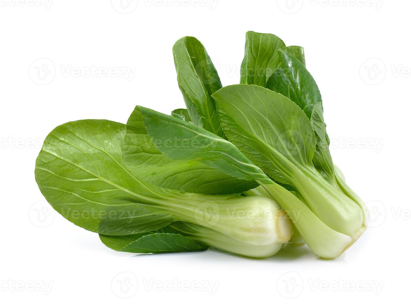 Bok choy vegetal sobre fondo blanco. foto