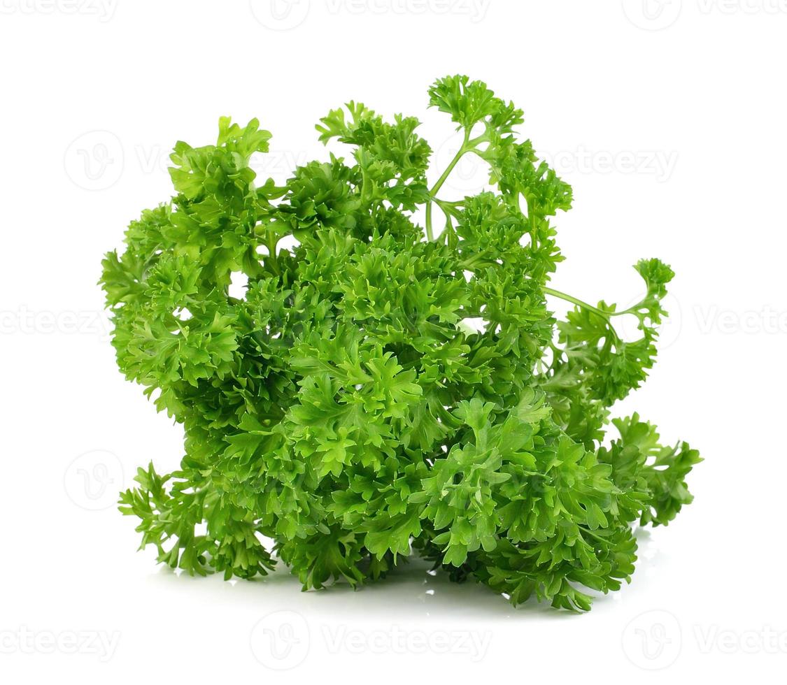 green leaves of parsley isolated on white background photo