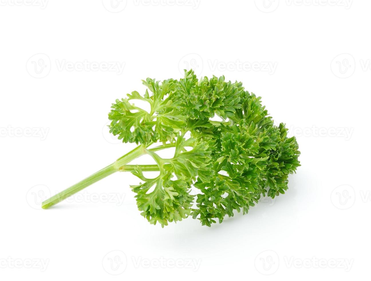parsley isolated on white background photo