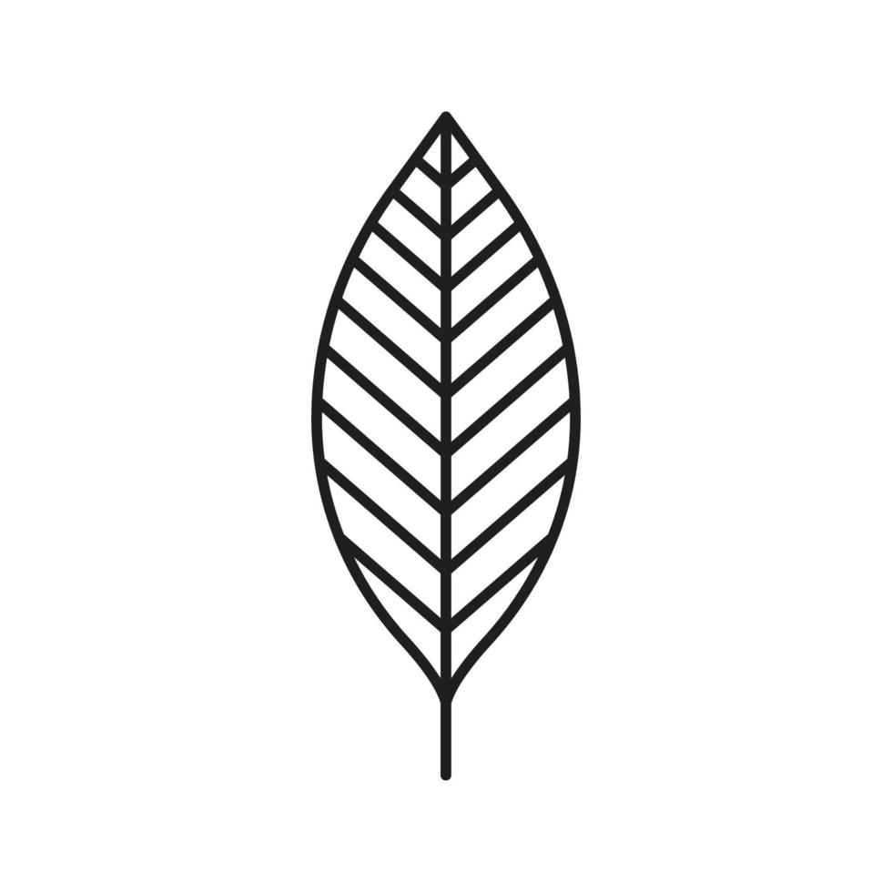 Walnut leaf linear icon. Thin line illustration. Contour symbol. Vector isolated outline drawing