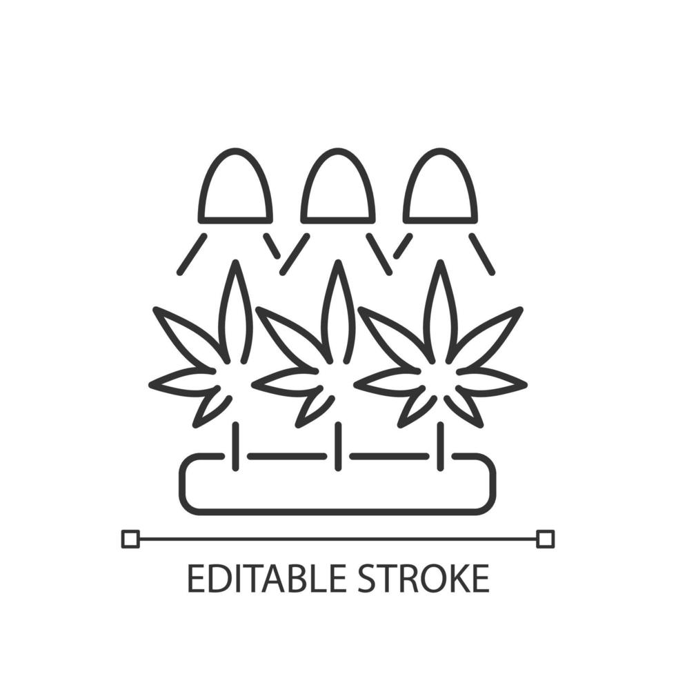 icono lineal de cultivo de cannabis. cultivar hierbas bajo luz artificial. germinación de semillas de marihuana. Ilustración personalizable de línea fina. símbolo de contorno. dibujo de contorno aislado vectorial. trazo editable vector