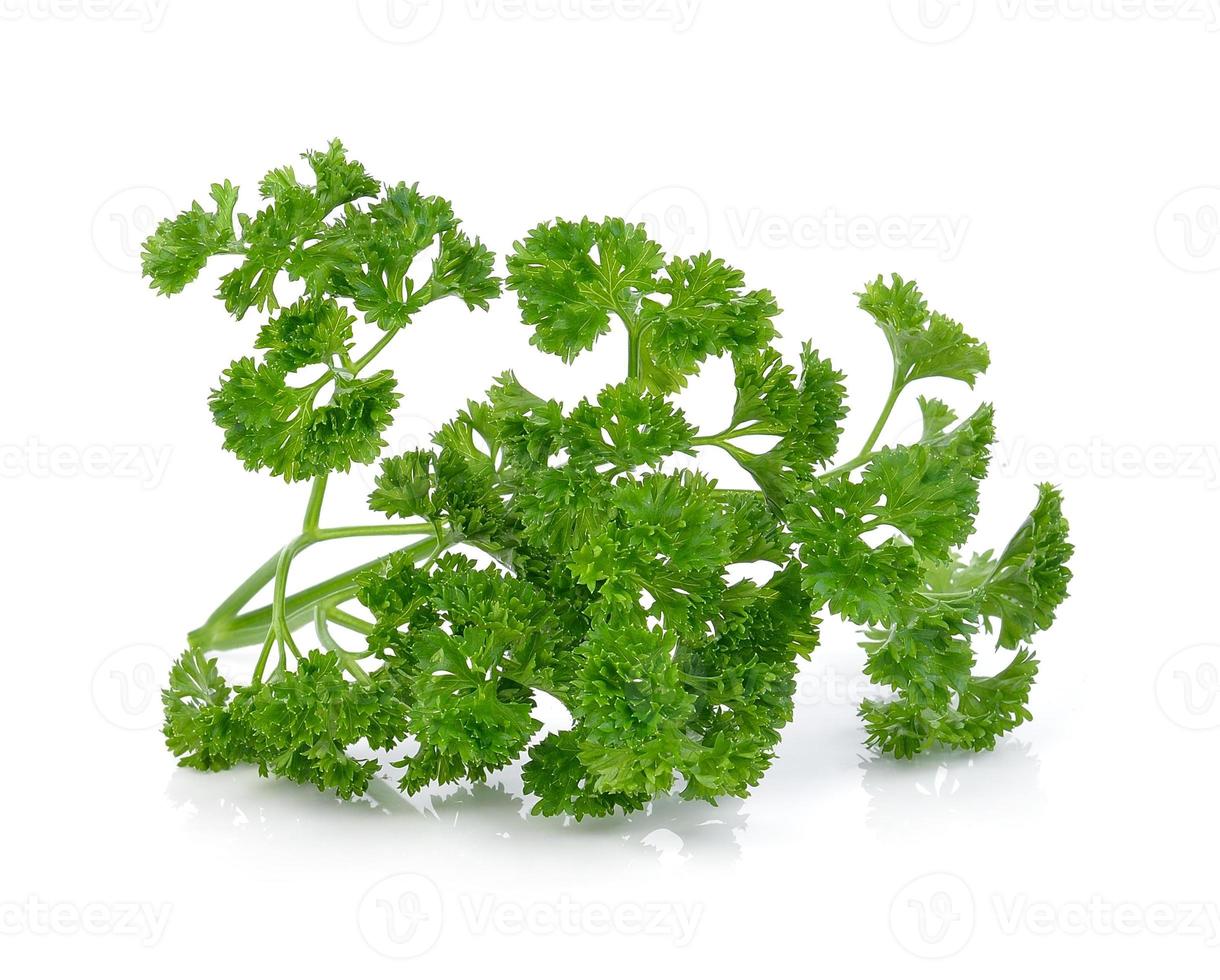 green leaves of parsley isolated on white background photo