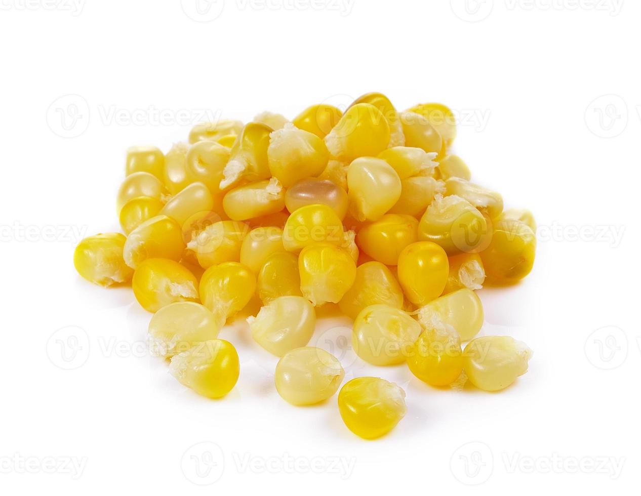 corn seeds on white background photo