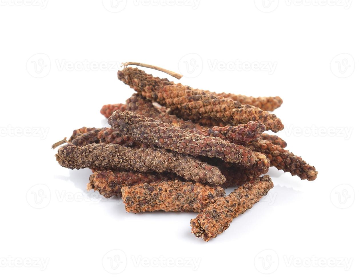 long pepper on white background photo