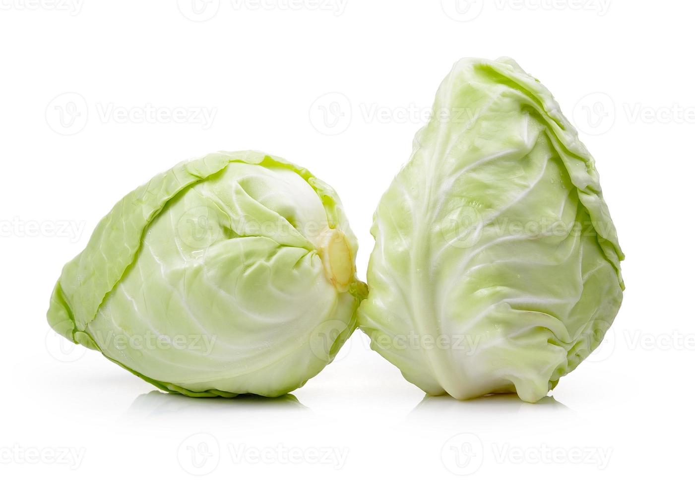 fresh chinese cabbage on a white background photo