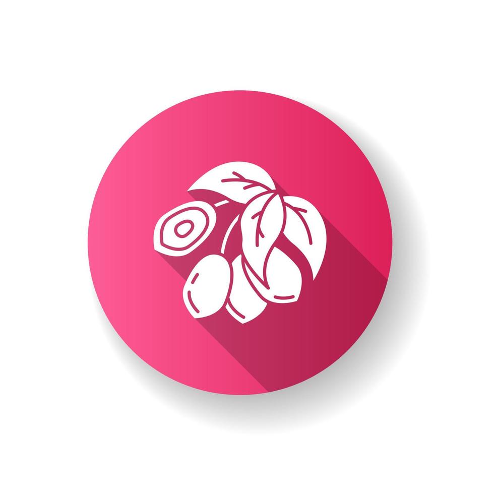 jojoba rosa diseño plano larga sombra glifo icono. frutas tropicales. fruto milagroso. botánica. planta brasileña. producción de aceite cosmético. Ilustración de color de silueta rgb vector
