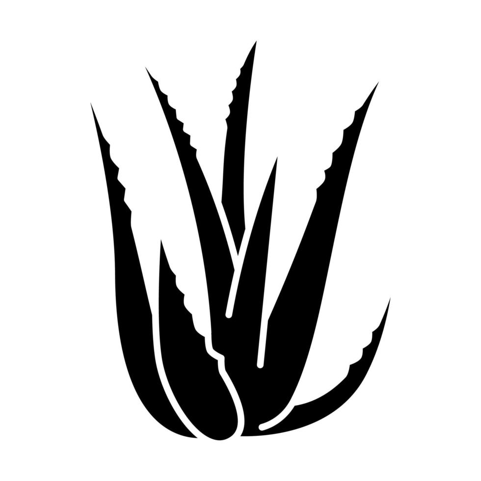 icono de glifo negro de aloe vera. brotes de crecimiento suculentos. hojas de cactus y espinas. Hierba medicinal para el cuidado de la piel. planta decorativa. símbolo de silueta en el espacio en blanco. vector ilustración aislada