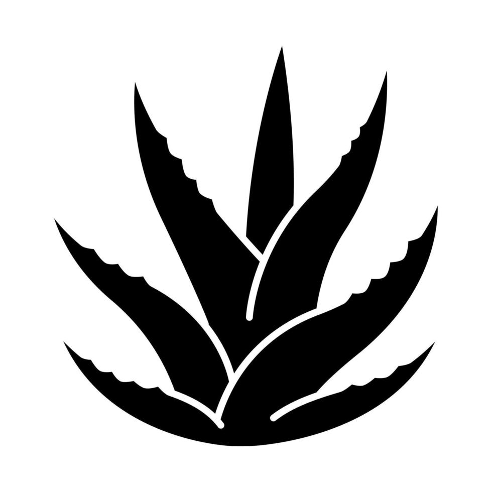 suculento icono de glifo negro. brotes de aloe vera. hojas de cactus. cultivo de hierba medicinal. planta decorativa. ingrediente para cosmética orgánica. símbolo de silueta en el espacio en blanco. vector ilustración aislada