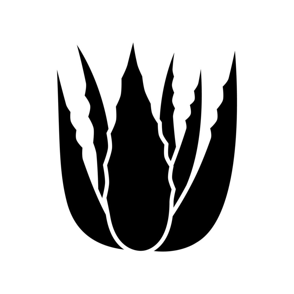 Succulent sprouts black glyph icon. Growing aloe vera. Cactus leafs and medicinal herb. Decorative plant. Ingredient for vegan cosmetic. Silhouette symbol on white space. Vector isolated illustration