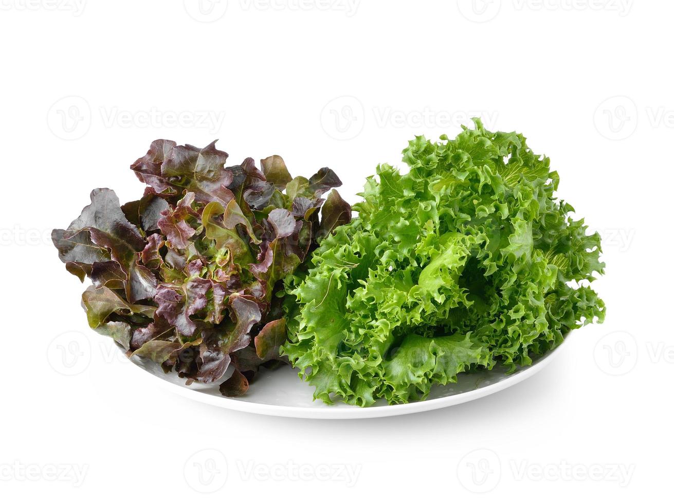 lettuce on the white plate isolated on white background photo